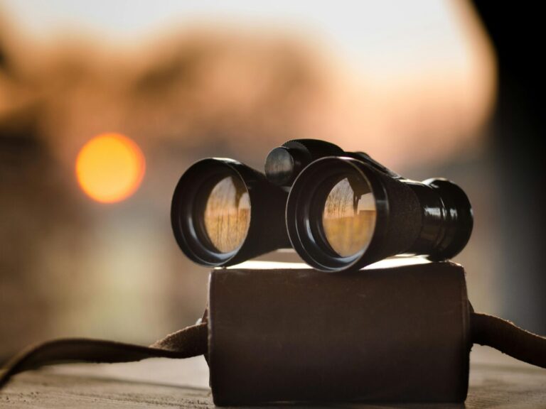 Banner1 2 WhatDoWeDo pexels clickerhappy 63901